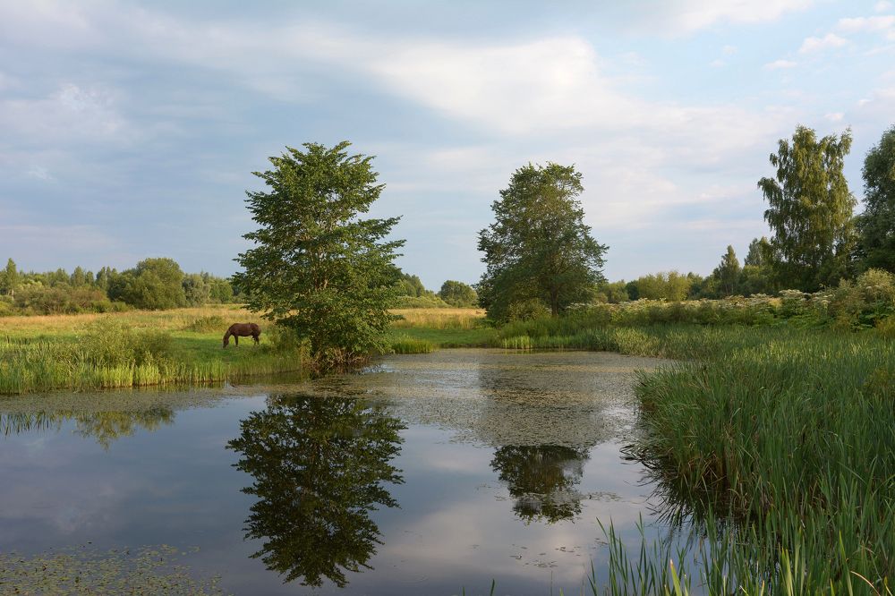 Photograph by Волоцков Александр