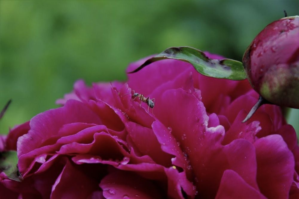 Photograph by Анастасия Козлова