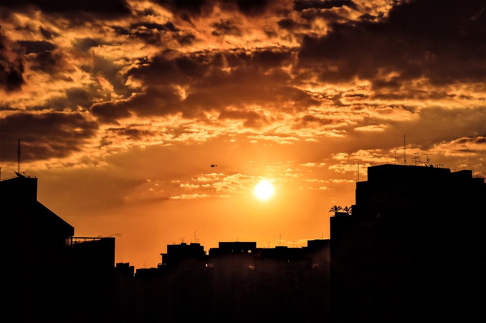 Photograph by Carmem De Luca