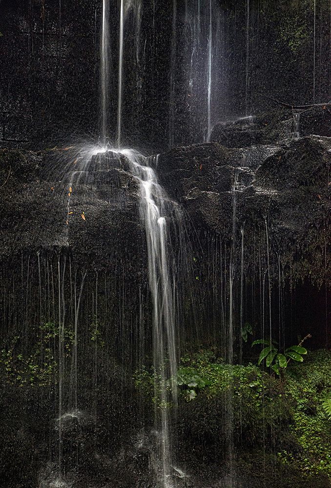 Photograph by Graham Macfarlane