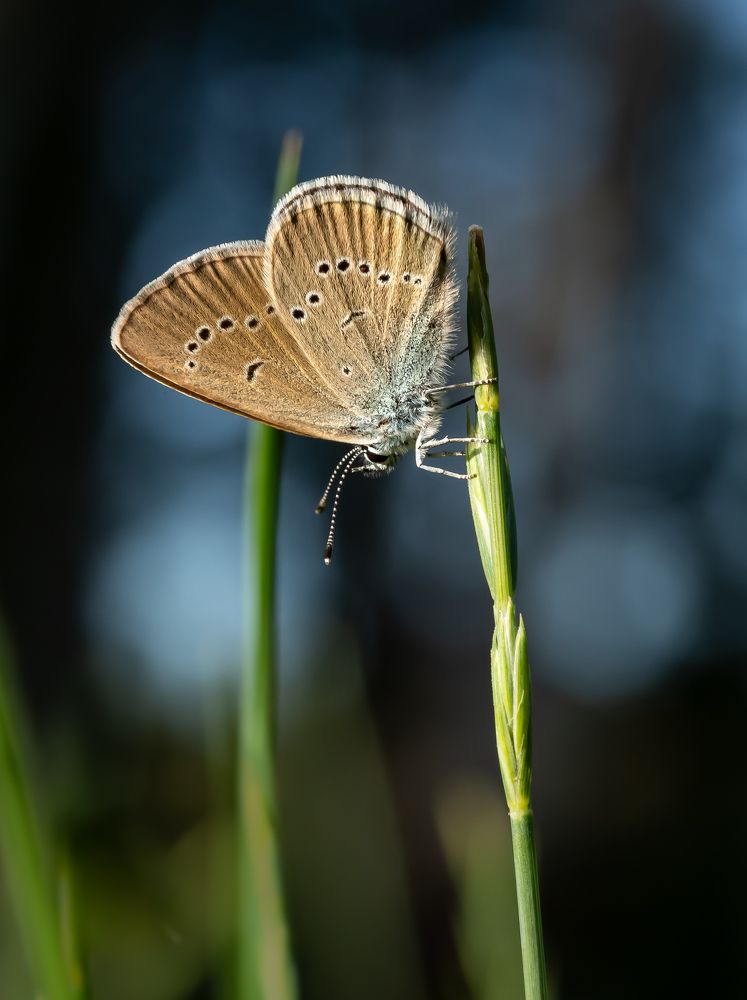 Photograph by Марина Новожилова