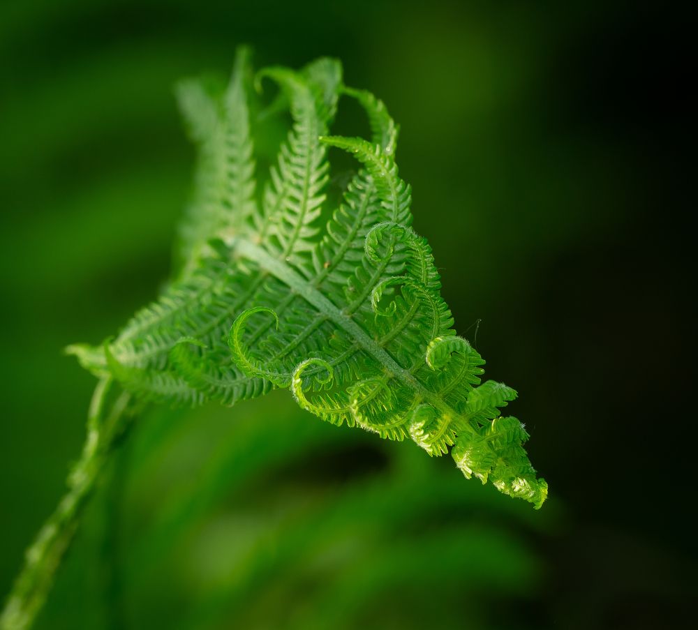 Photograph by Марина Новожилова