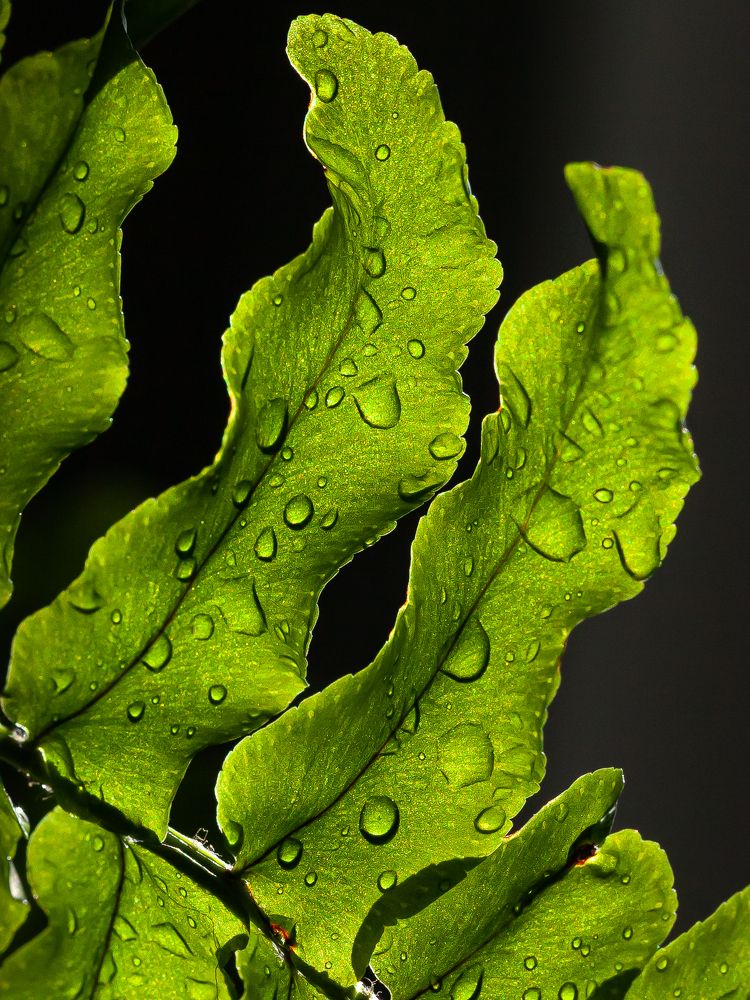 Photograph by Марина Новожилова