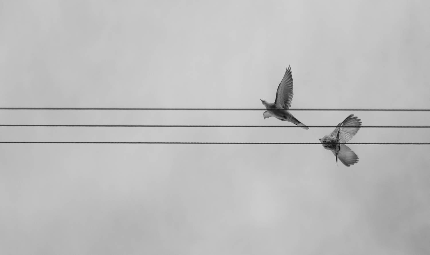 Photo #6311815