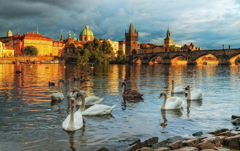 Photograph by Майя Афзаал