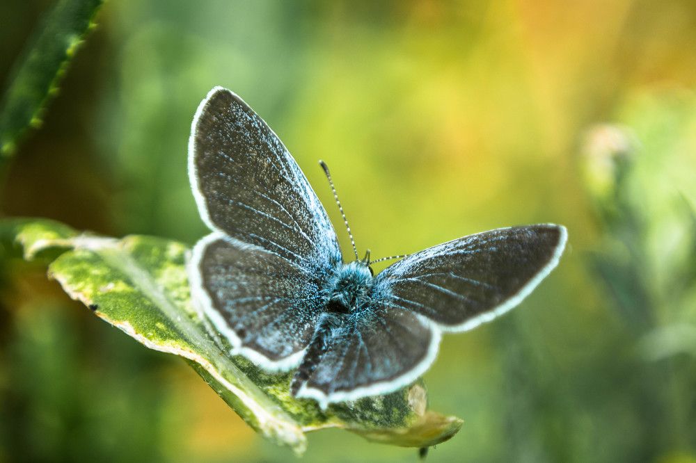 Photograph by Людмила Прибылова