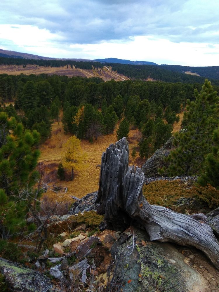 Вид с Вороньих скал