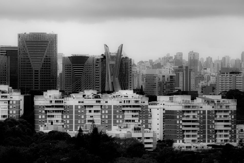 Photograph by Carmem De Luca