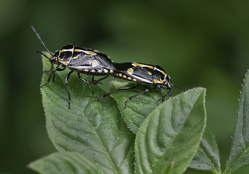 Photograph by somnath pal