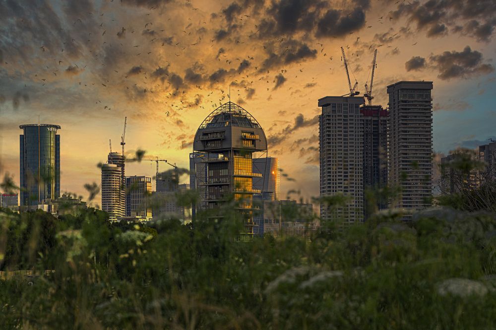 Photograph by Gabriella Halperin