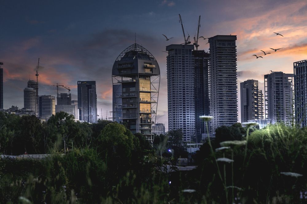 Photograph by Gabriella Halperin