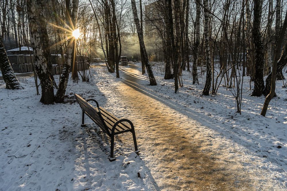 Декабрьские лучи