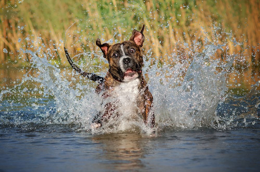 Photograph by Екатерина Кикоть