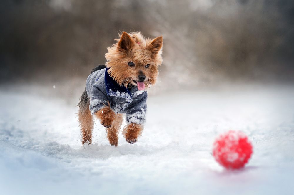 Photograph by Екатерина Кикоть