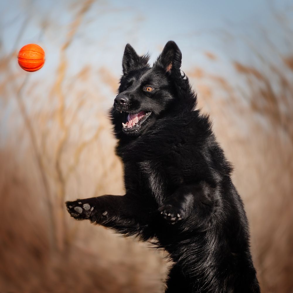 Photograph by Екатерина Кикоть