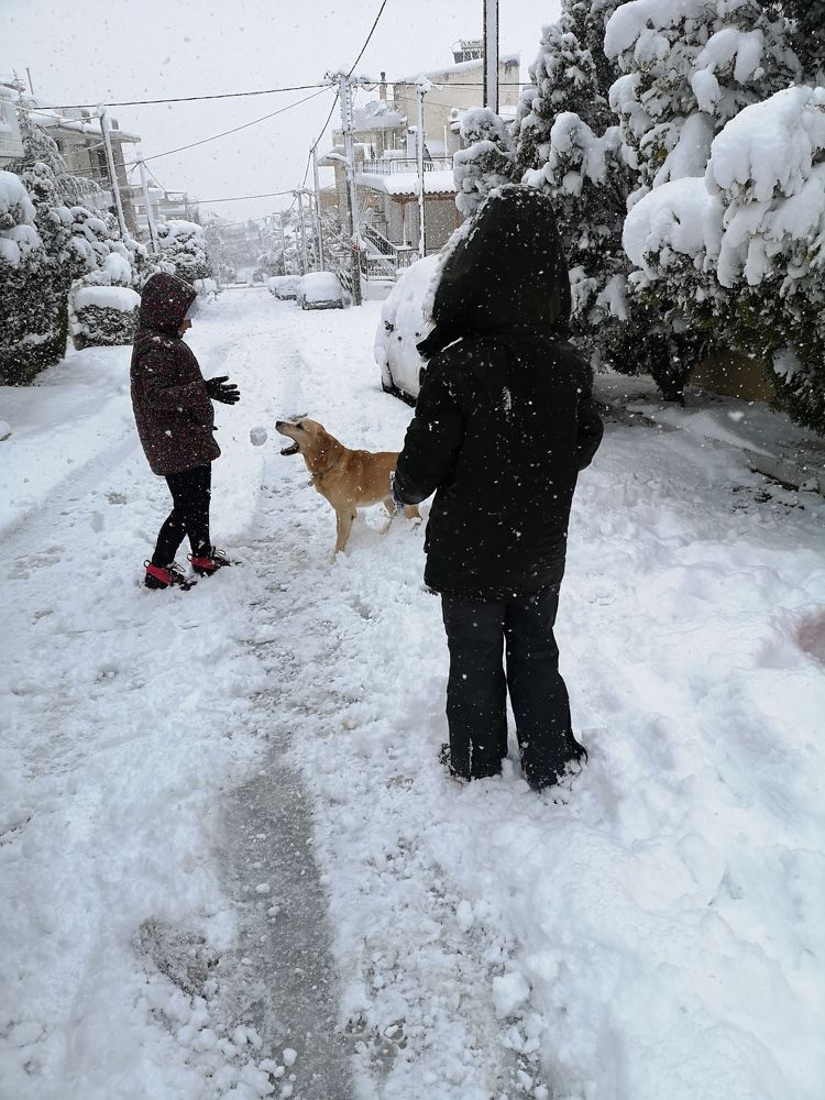 Фотография автора Maria Tsitoura