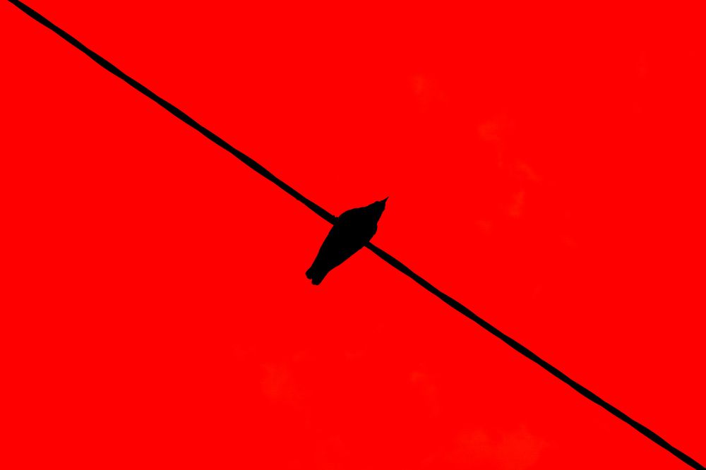 Photograph by Александр Поданев