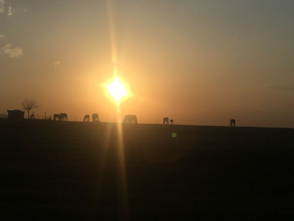 Фотография автора Алянур Юлдашева