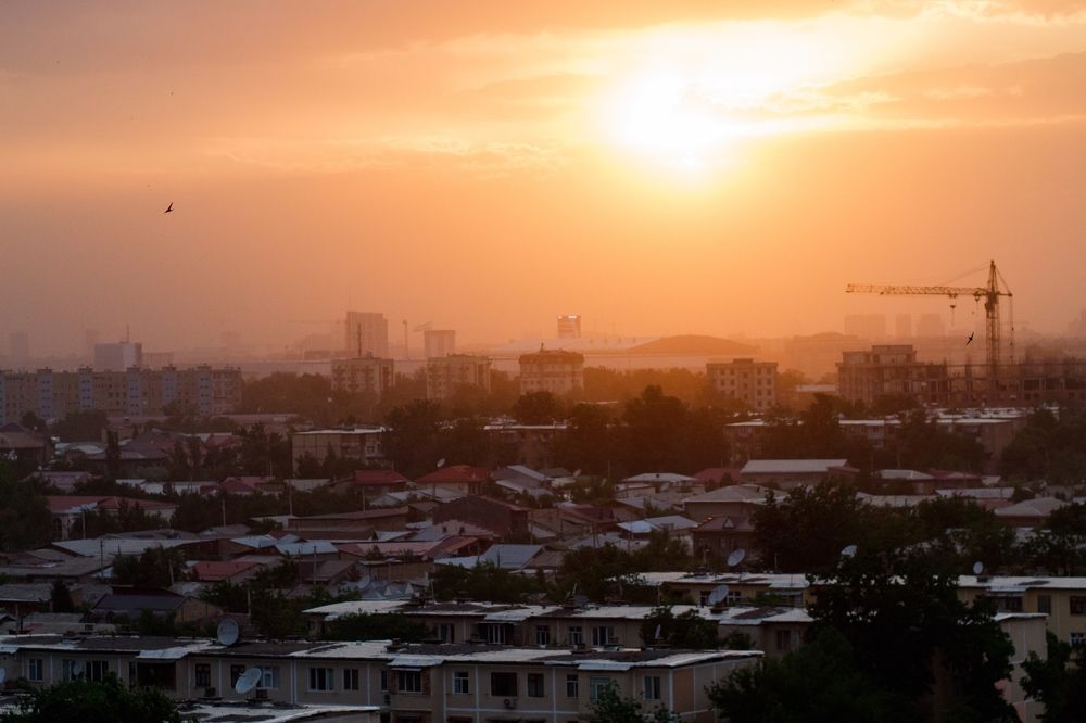 Photograph by Жанна Шаталина