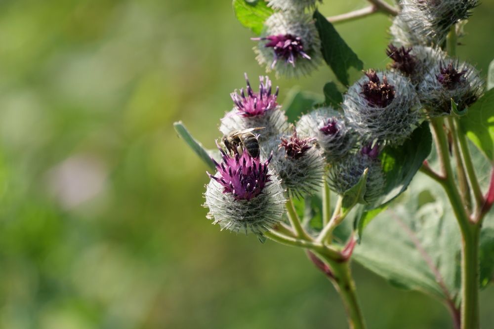 Photograph by Иван Скорик