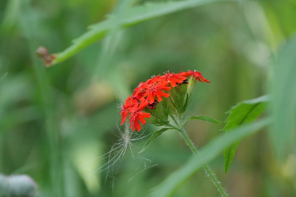 Photograph by Иван Скорик