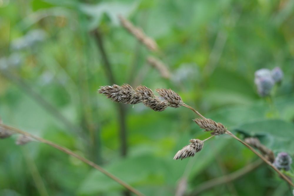 Photograph by Иван Скорик