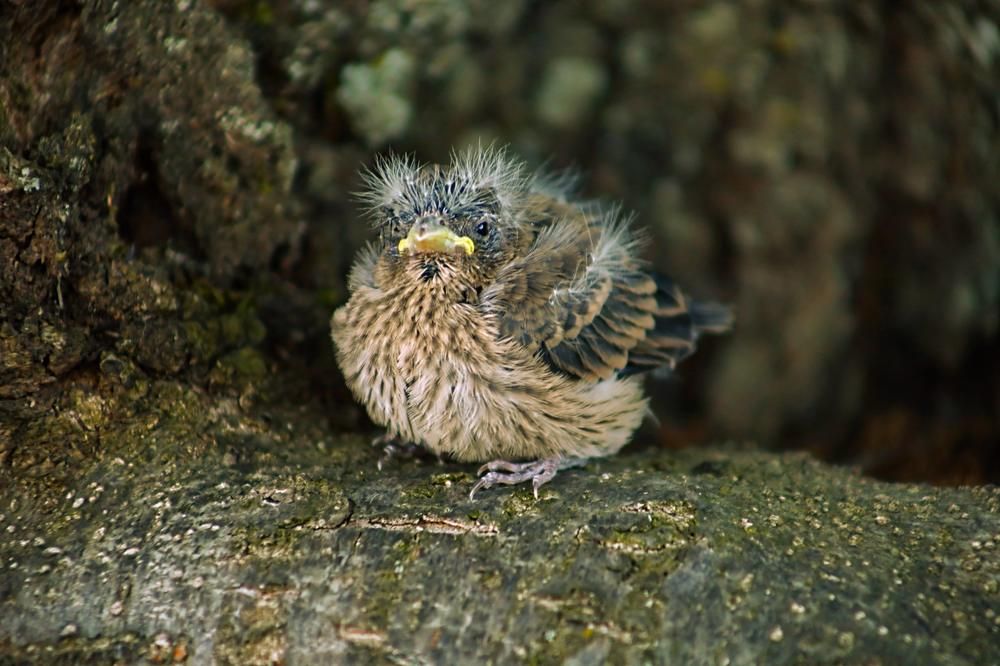 Photograph by Ivan Castello Serrano