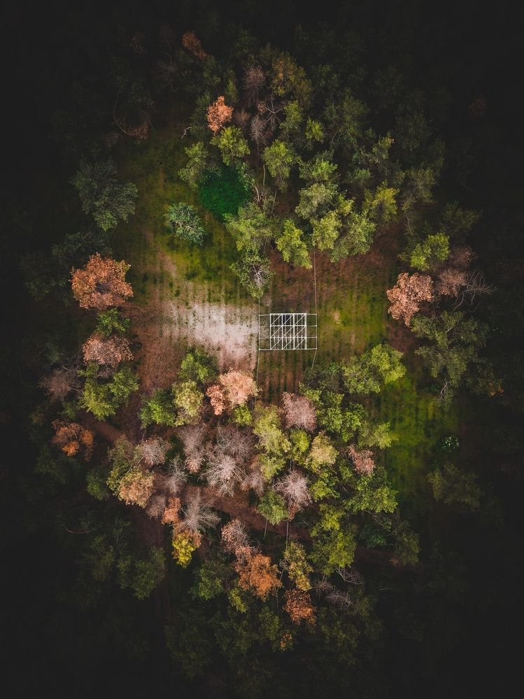 Photograph by Виталий Попов