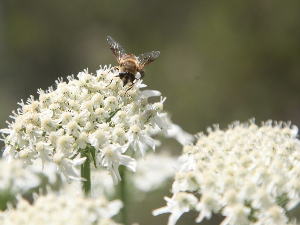 Photograph by Рустамбек Аҳмадзода