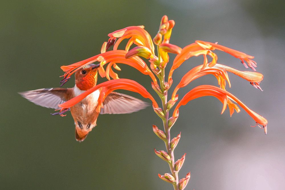 Framing a little face!