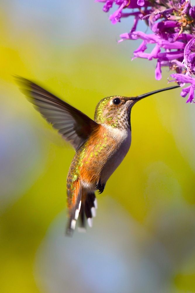 The Fleeting Moment!