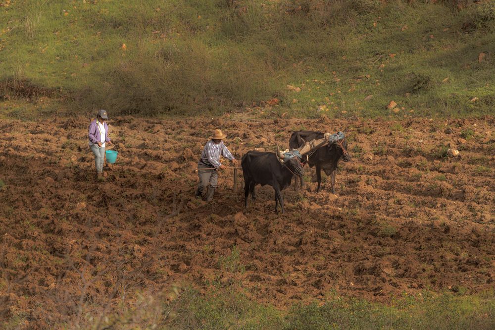 Photograph by Joaquin Silva