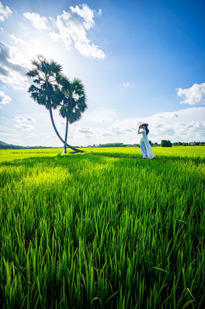 Photograph by Trung Duong