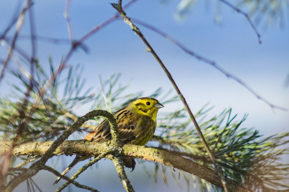 Photograph by Алексей Борисов