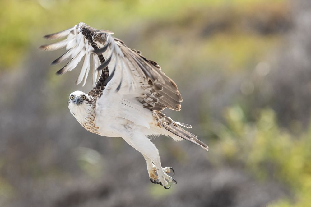 Photograph by Dennis Vagner