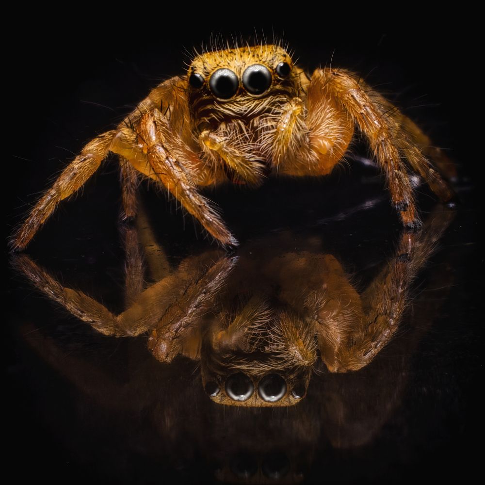 Photograph by PRIYOJIT CHOWDHURY