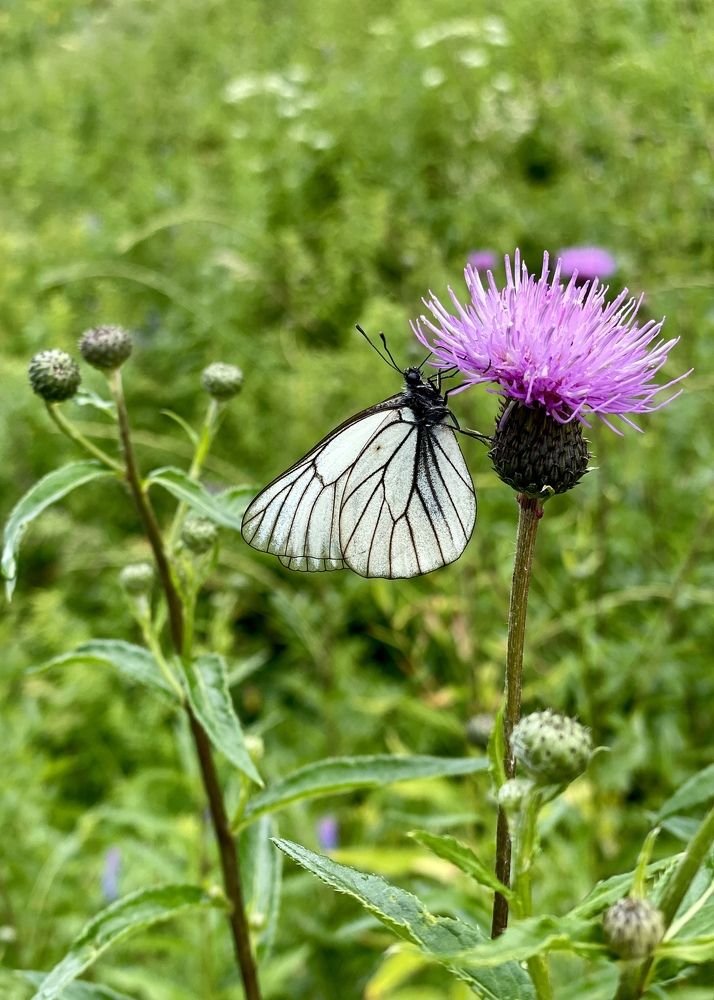 Photograph by Татьяна Ноздрина