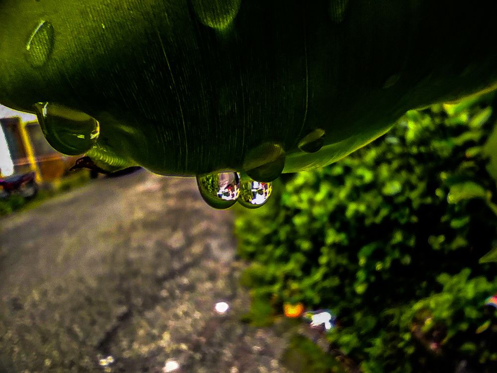 Photograph by Pema Wangchuk