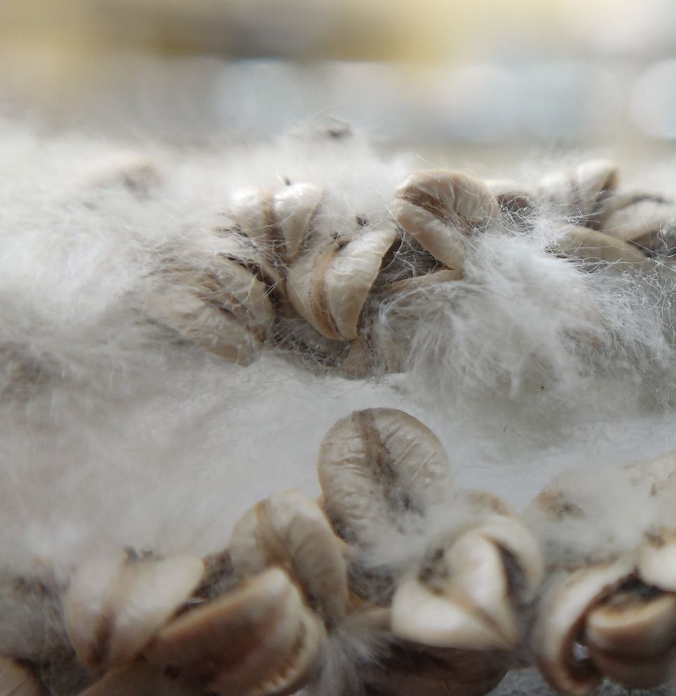 Фотография автора Станислав Ермолин