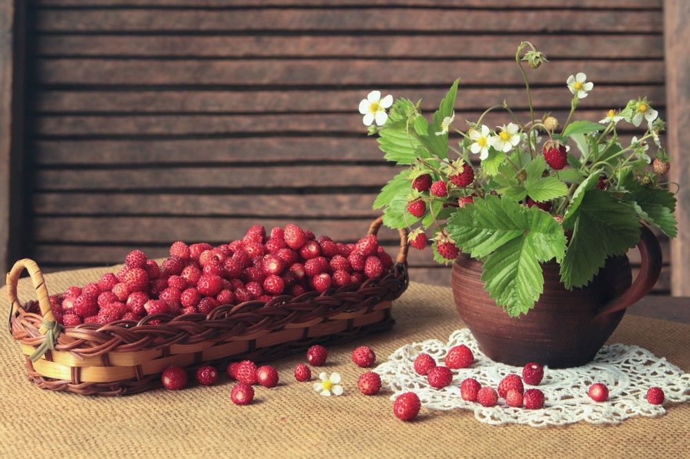 Photograph by Любовь Кучерук