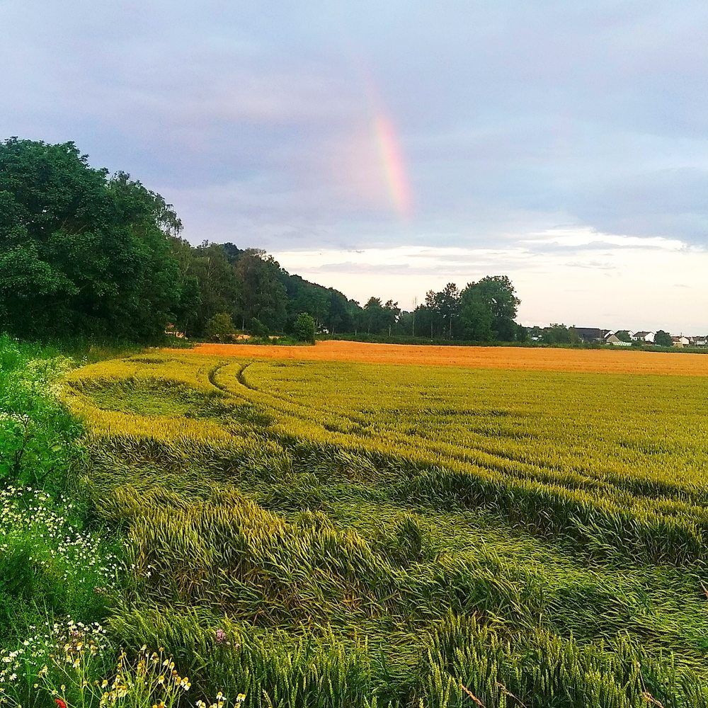 Радуга после дождя.