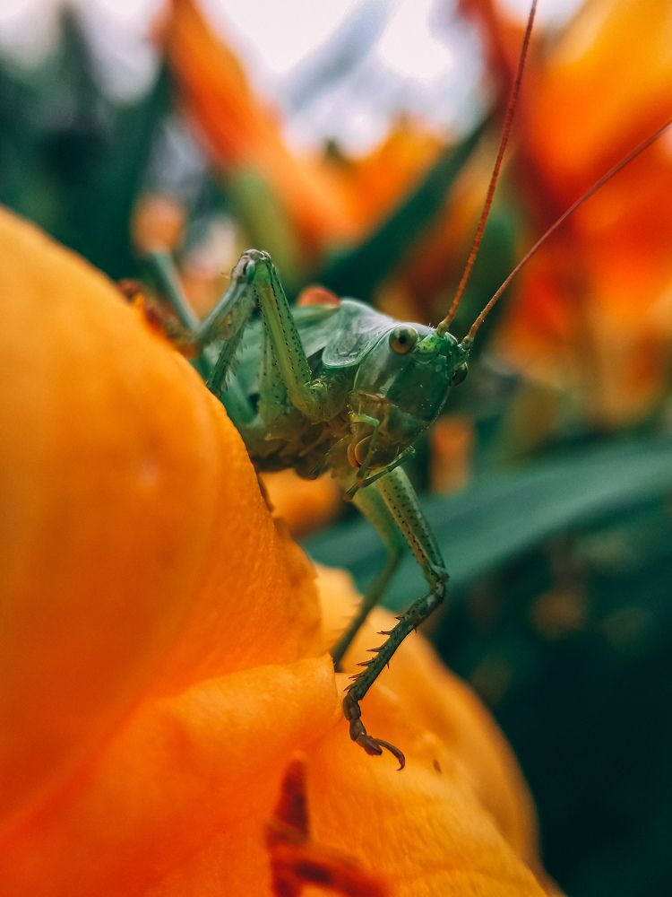 Photograph by Наташа Черепенина