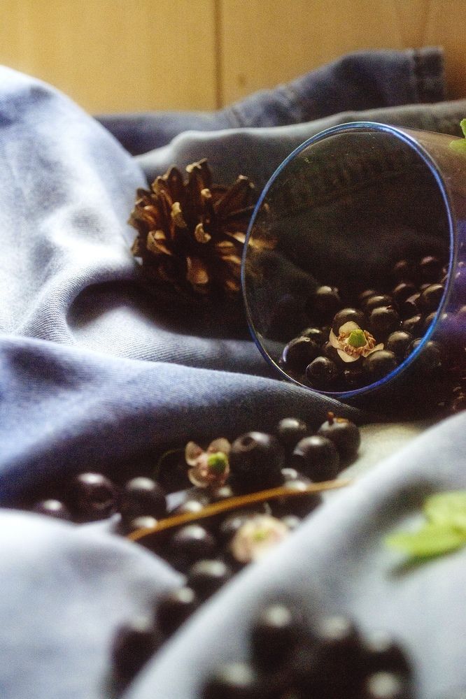 Photograph by Вера Васютина