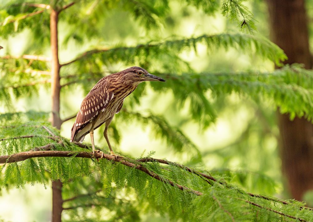 Photograph by Кирина Елизавета