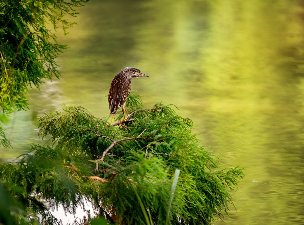 Photograph by Кирина Елизавета