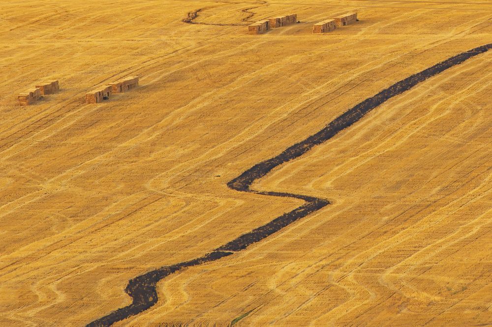 Photograph by Павел Абакумов