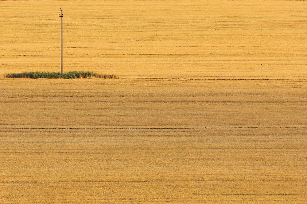 Photograph by Павел Абакумов