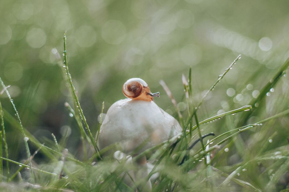 Photograph by Динара Зуйкова