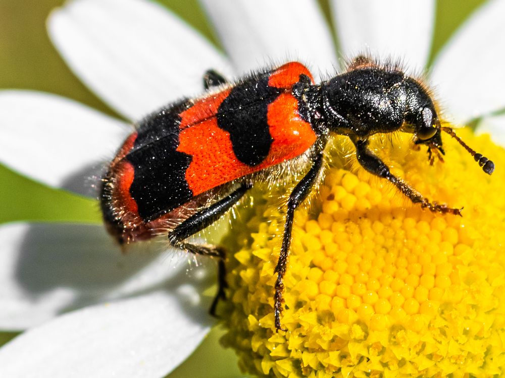 Photograph by Виктор Степанов