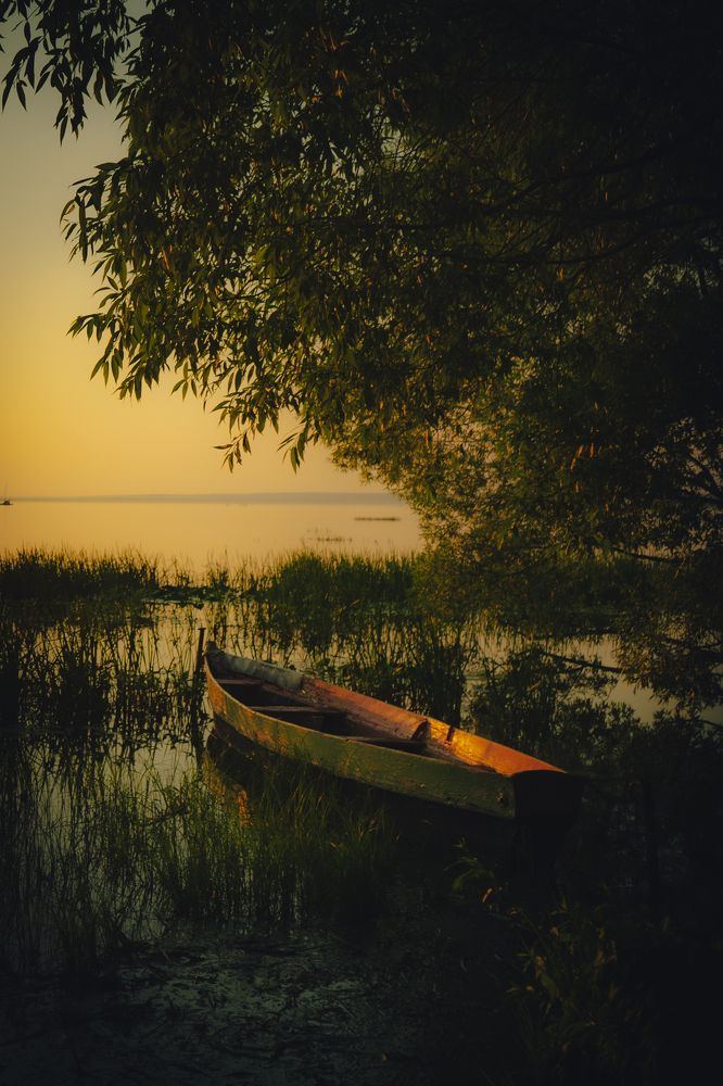 Photograph by Александр Поданев